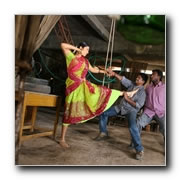 Pachai Kutharai Gallery